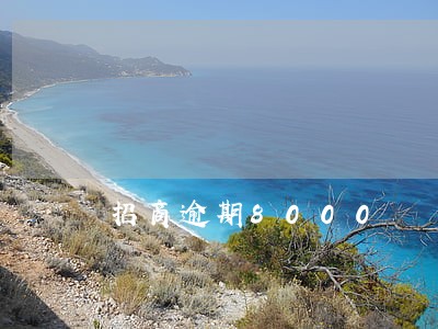 招商逾期8000 招商逾期8000