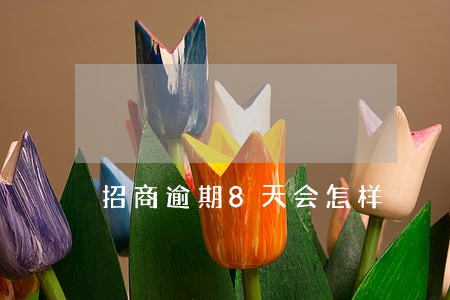 招商逾期8天会怎样