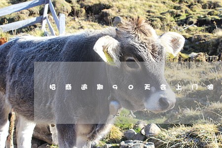 招商逾期90天会上门嘛 招商逾期90天会上门嘛