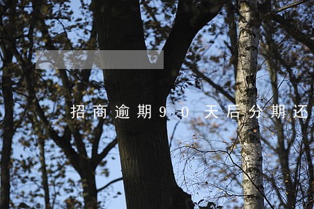 招商逾期90天后分期还款 招商逾期90天后分期还款