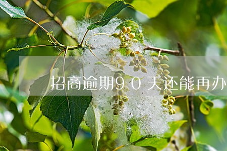 招商逾期90天还能再办下卡吗 招商逾期90天还能再办下卡吗