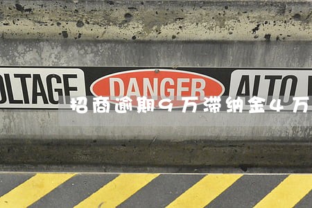 招商逾期9万滞纳金4万 招商逾期9万滞纳金4万