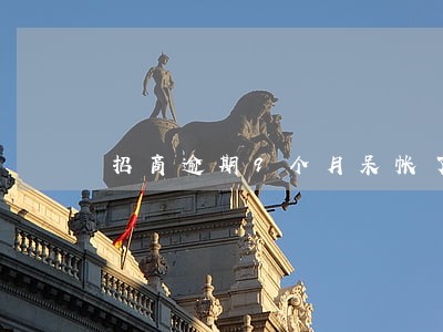 招商逾期9个月呆帐了 招商逾期9个月呆帐了