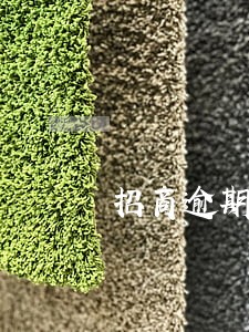 招商逾期9天上征信吗 招商逾期9天上征信吗