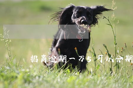 招商逾期一万5可以分期还吗 招商逾期一万5可以分期还吗