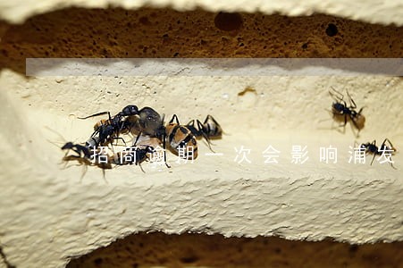 招商逾期一次会影响浦发信用卡吗 招商逾期一次会影响浦发信用卡吗