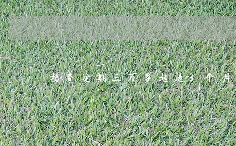 招商逾期三万多超过3个月 招商逾期三万多超过3个月