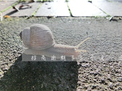 招商逾期了3个月一分没还 招商逾期了3个月一分没还