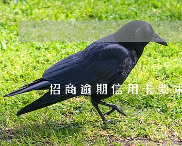 招商逾期信用卡要求还全款 招商逾期信用卡要求还全款
