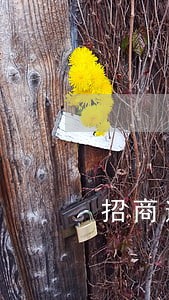 招商逾期其他的信用卡还能用 招商逾期其他的信用卡还能用
