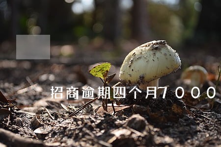 招商逾期四个月7000 招商逾期四个月7000