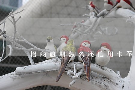 招商逾期怎么还信用卡不降额