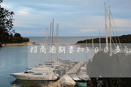 招商逾期要扣300多元 招商逾期要扣300多元
