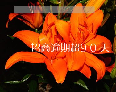 招商逾期超90天 招商逾期超90天