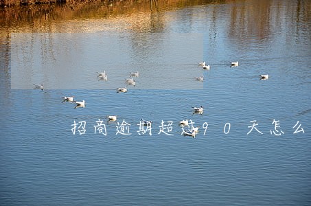 招商逾期超过90天怎么处理 招商逾期超过90天怎么处理