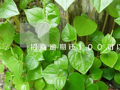 招商逾期还100可以吗 招商逾期还100可以吗