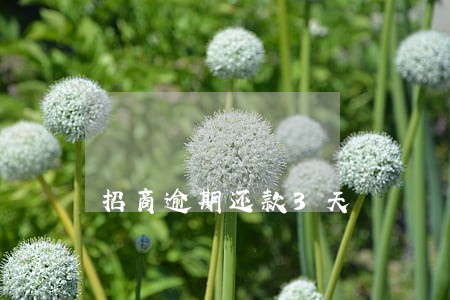 招商逾期还款3天 招商逾期还款3天