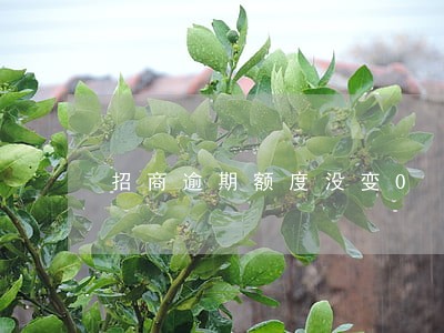 招商逾期额度没变0 招商逾期额度没变0