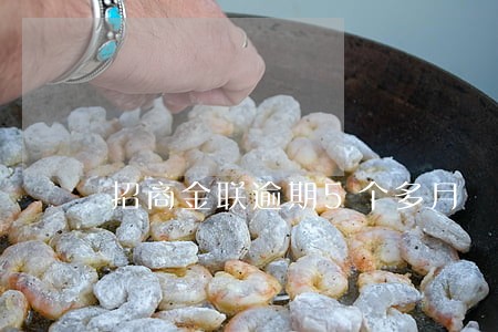 招商金联逾期5个多月 招商金联逾期5个多月