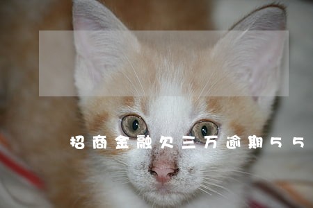 招商金融欠三万逾期55天 招商金融欠三万逾期55天