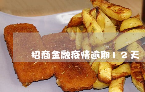 招商金融疫情逾期12天 招商金融疫情逾期12天