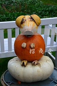 招商金融逾期3天 招商金融逾期3天