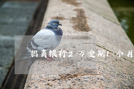 招商银行2万逾期1个月 招商银行2万逾期1个月