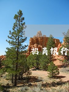 招商银行e号贷逾期能续借吗 招商银行e号贷逾期能续借吗