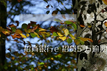 招商银行e招贷5万逾期 招商银行e招贷5万逾期