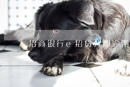 招商银行e招贷分期逾期