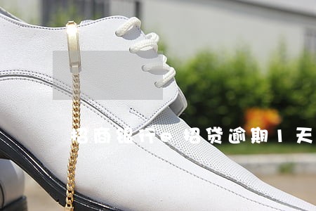招商银行e招贷逾期1天 招商银行e招贷逾期1天