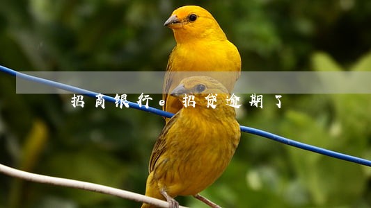 招商银行e招贷逾期了 招商银行e招贷逾期了