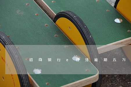 招商银行e招贷逾期五万 招商银行e招贷逾期五万