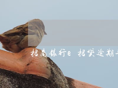 招商银行e招贷逾期半年怎么版