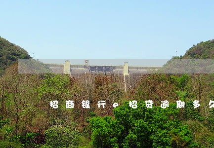 招商银行e招贷逾期多久上征信 招商银行e招贷逾期多久上征信