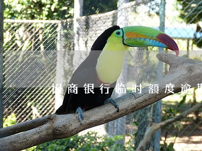 招商银行临时额度逾期12天 招商银行临时额度逾期12天