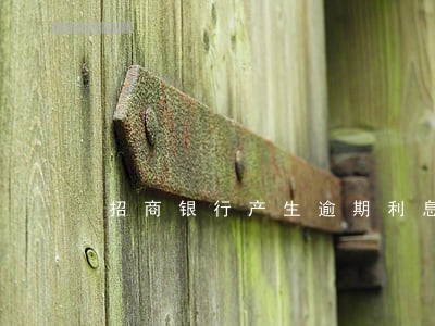 招商银行产生逾期利息怎么办 招商银行产生逾期利息怎么办