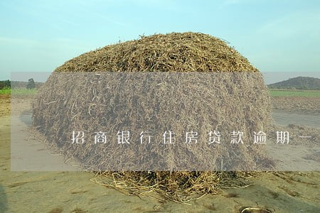 招商银行住房贷款逾期一天 招商银行住房贷款逾期一天