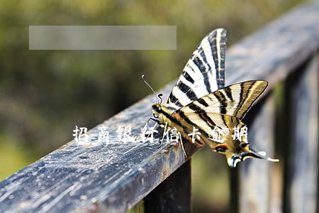 招商银行信卡逾期 招商银行信卡逾期