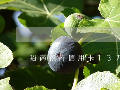 招商银行信用卡13万逾期