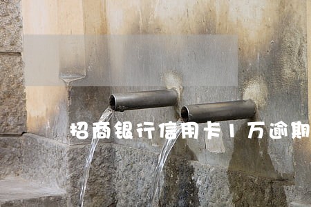 招商银行信用卡1万逾期 招商银行信用卡1万逾期
