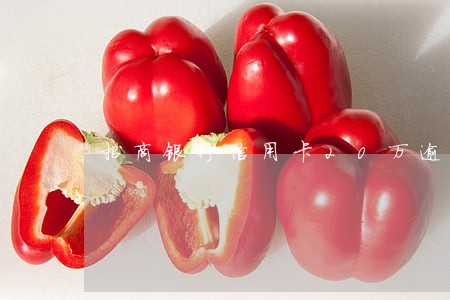 招商银行信用卡20万逾期