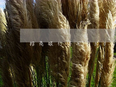 招商银行信用卡3000块逾期