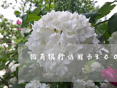 招商银行信用卡3000逾期