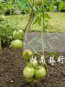 招商银行信用卡4800逾期后果