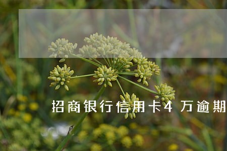 招商银行信用卡4万逾期3个月