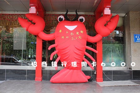 招商银行信用卡6000块逾期 招商银行信用卡6000块逾期