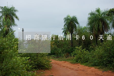 招商银行信用卡60天逾期 招商银行信用卡60天逾期