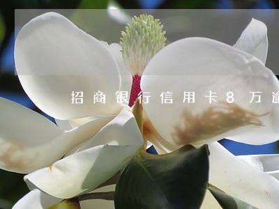 招商银行信用卡8万逾期多久上门