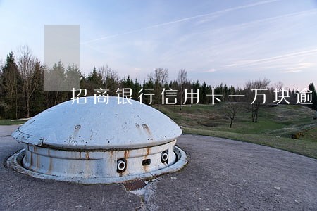 招商银行信用卡一万块逾期 招商银行信用卡一万块逾期